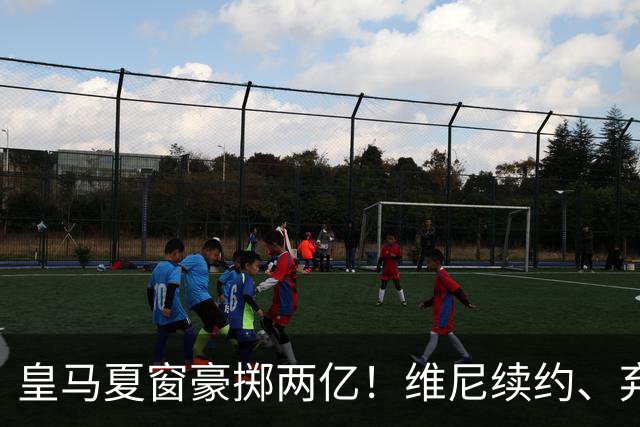 皇马夏窗豪掷两亿！维尼续约、弃罗德里，西甲格局真要变？